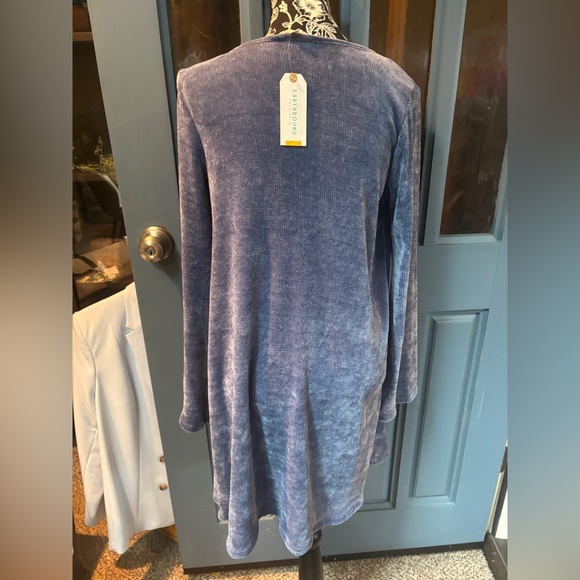 EARTHBOUND Soft Blue Velvet Long Sleeve Dress - Picture 4 of 7